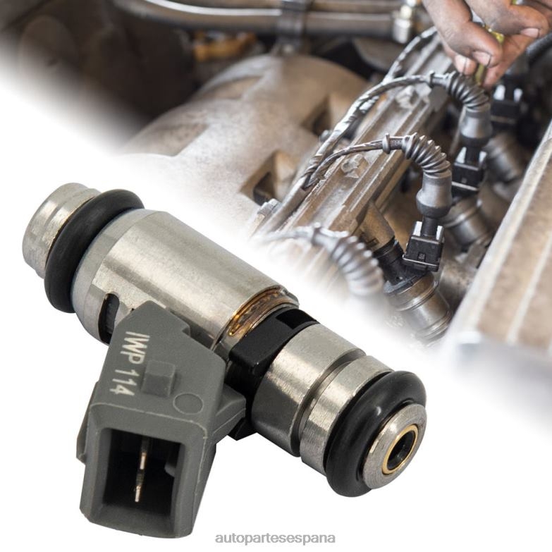 Autopartes El Canelo Inyector de combustible iwp114 para volkswagen P862B714